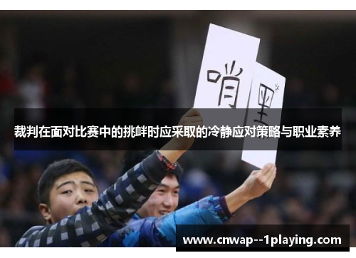 裁判在面对比赛中的挑衅时应采取的冷静应对策略与职业素养