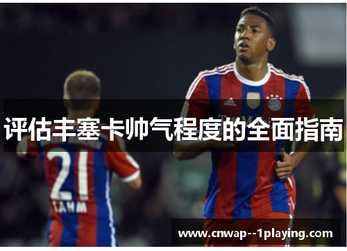 评估丰塞卡帅气程度的全面指南 评估丰塞卡帅气程度的全面指南