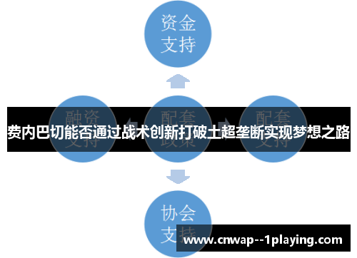 费内巴切能否通过战术创新打破土超垄断实现梦想之路 费内巴切能否通过战术创新打破土超垄断实现梦想之路