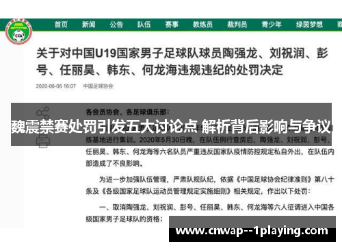 魏震禁赛处罚引发五大讨论点 解析背后影响与争议