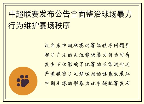 中超联赛发布公告全面整治球场暴力行为维护赛场秩序